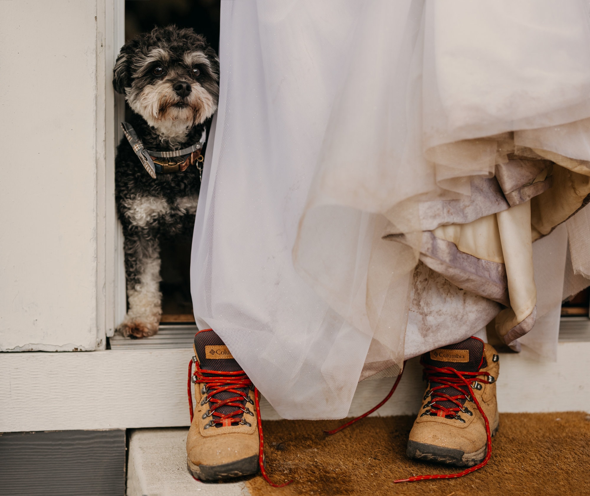 A dog looks out the door way as a bride steps out of the door with her shoes untied and a dirty dress.