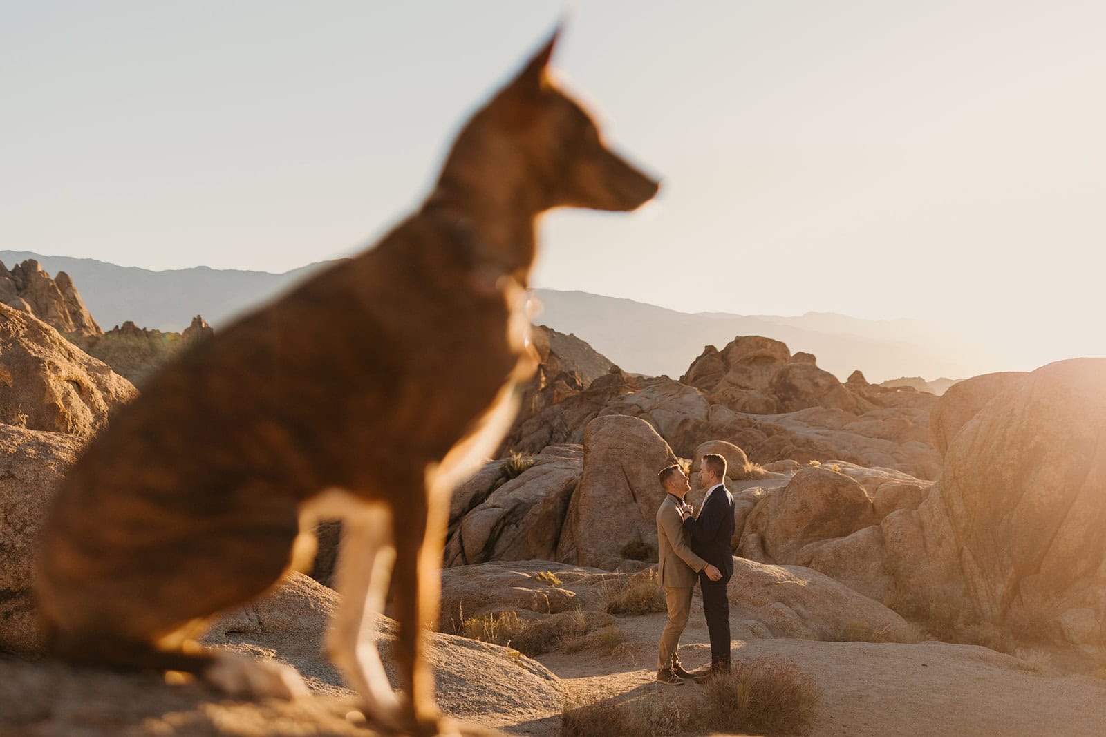 A couple shares a kiss as their dog stands in the foreground in the beautiful morning light.