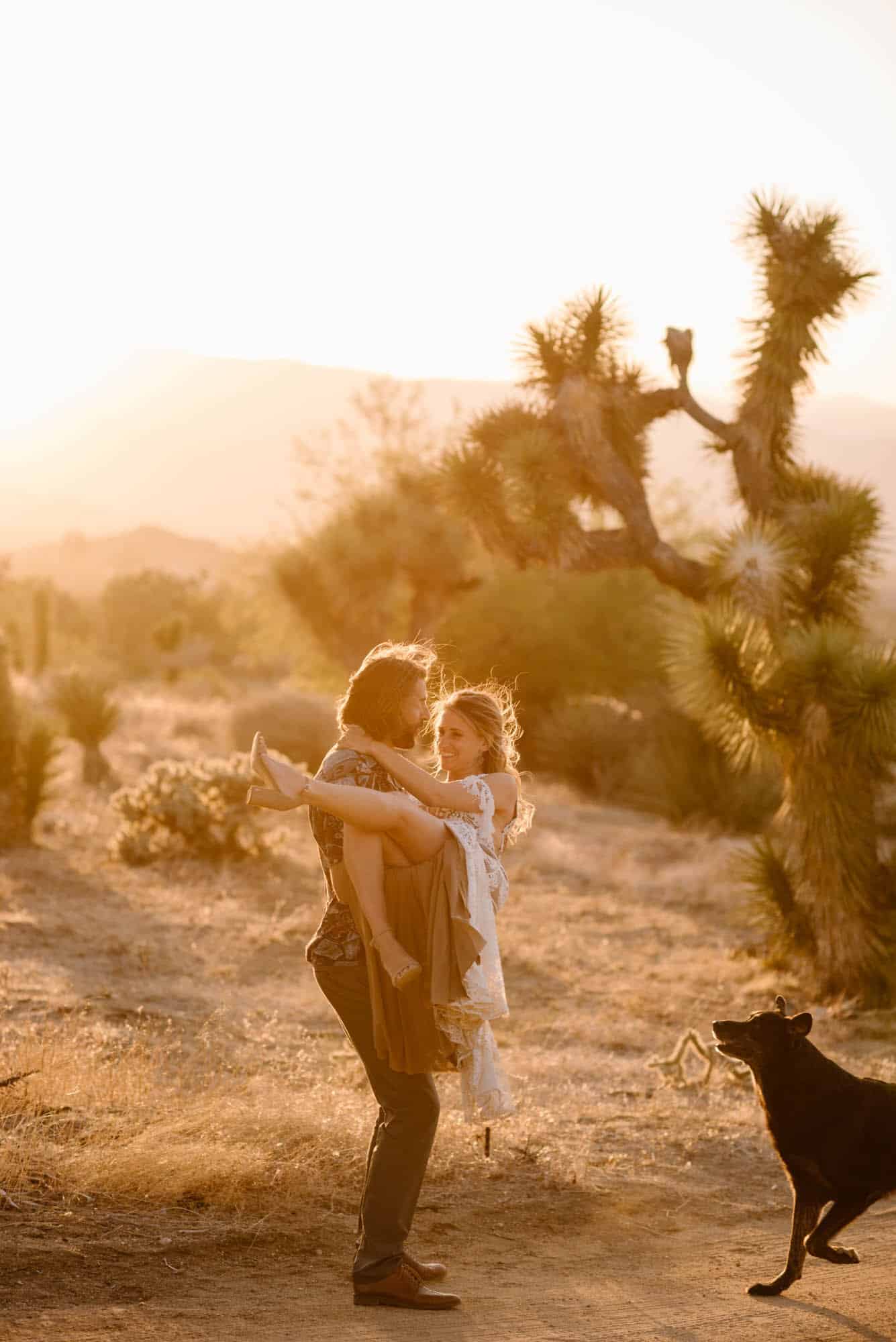 elopement with a dog
