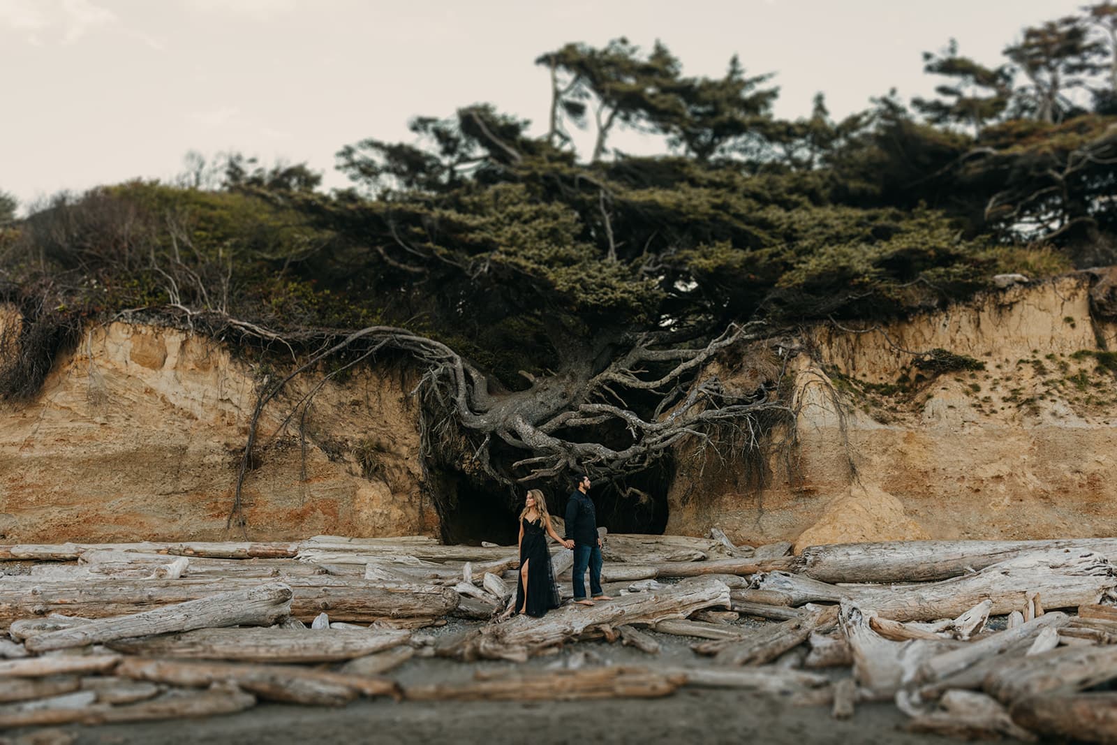 A couple stands by the tree of life. 