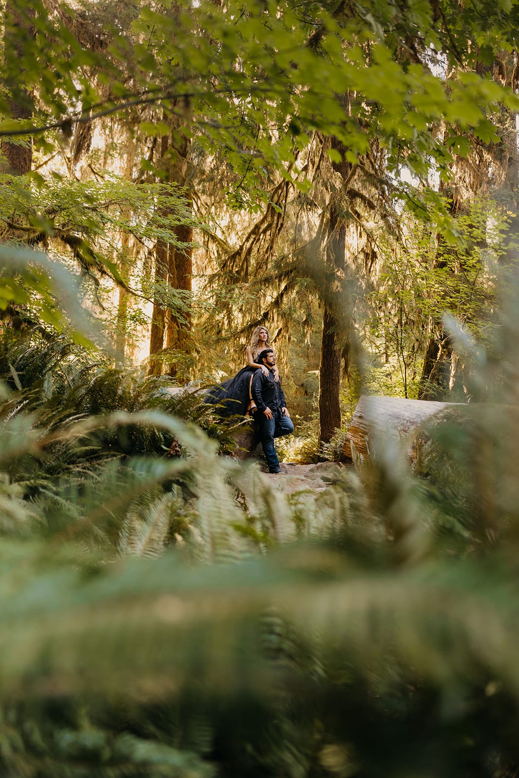 A photo of the couple through the ferns.