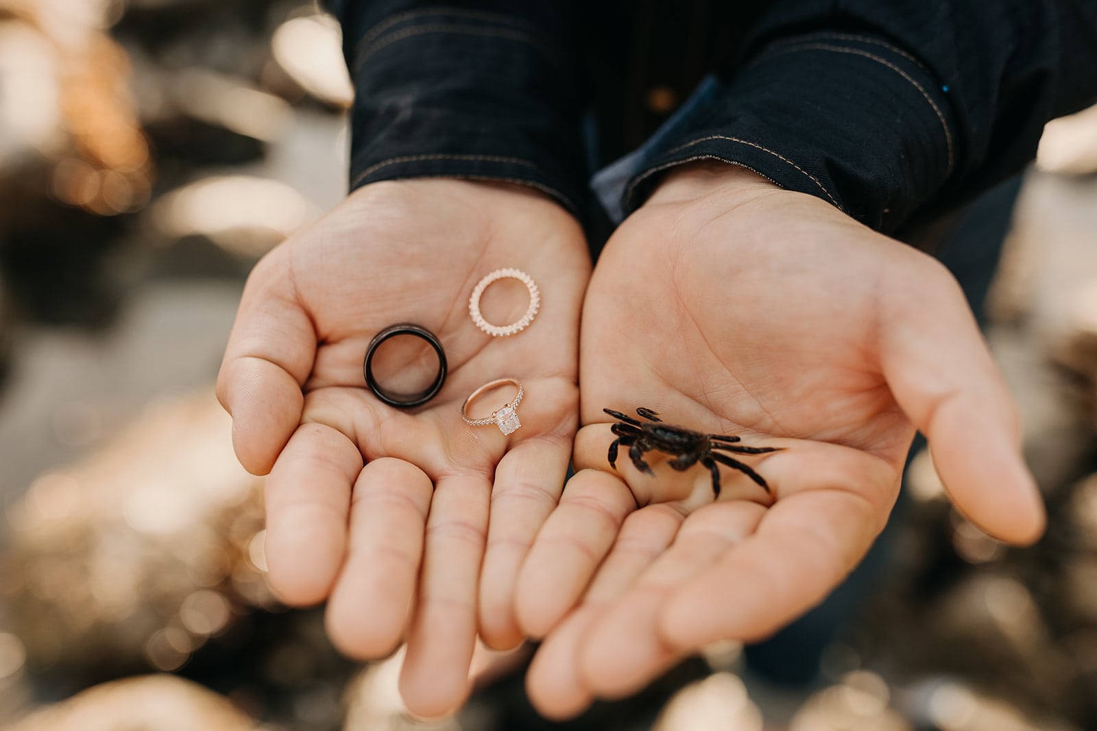 A detail photo of the rings as a groom also holds a crab.