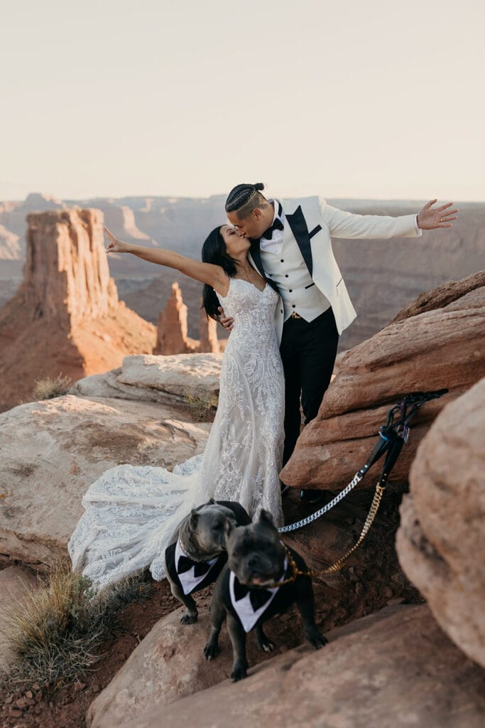 The couple embrace in a celebratory kiss as their dogs look at the camera.
