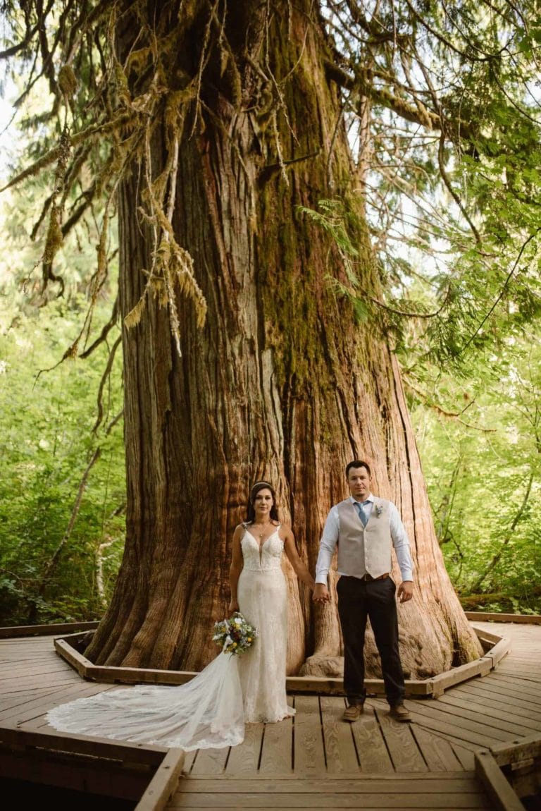 Packwood, Washington Wedding